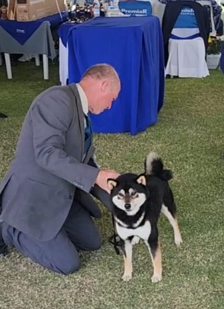 ffe33709-83c8-4c31-9977-230245897e68